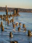 Piermont Pier. If you look closely you can see the snowy owl perched on top of the pylon.