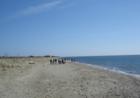 Hammonasset State Park - Looking East