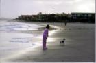 North End of the Beach with wife and Butler the pet Jack Russell