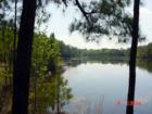 An Island Freshwater Pond on the North End In Stillwater Plantation