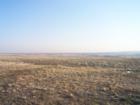 Open Space in Gunbarrel