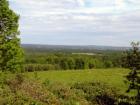 Littleton Ridge was settled by many Irish farmers who wandered over from Canada via Ireland after the Great Potato Famine!