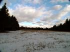 Lots Of Abandoned Farm Land That Was Used For Potatoes Back in Late 1960's.  The Smaller Fields Are Not Good For Big Harvester That Needs Land To Turn Around In! It Was Ideal For Small Picking Crews!