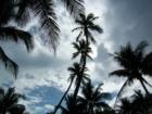 miami beach