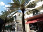 Miami Beach