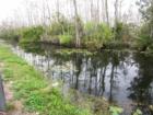 Everglades 