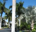 Palm Isles, FMB, Lee County, Fl