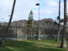 Tennis in front of Diamond Head
