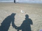 Shadows holding hands near the seagulls.