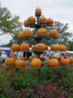 From the West Virginia Pumpkin Festival at Milton, WV.