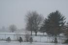 Iowa Winters