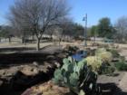 The Park at Frisco Bridge