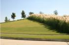 Grayhawk greenspace