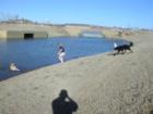 Playing at the lake in Grayhawk