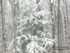 Winter in New Fairfield, Connecticut