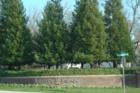 Ashley Woods Neighbood
