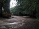 Old Mill Park in the rain.