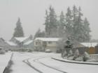 February 28 Weird Snow Storm