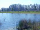 Dupree Lakes