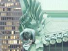 View from South Loop Rooftop - Owl-Gargoyle on Library