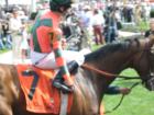 The #7 Horse - Oaks Day 2006