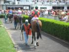 South end of Northbound #7 Horse - Oaks Day 2006