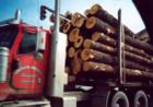 Moving Logs, Cutting Wood Is What Allagash Area Is Know For Along With Sporting Down The Allagash Wilderness Water Way!
