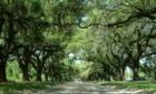 Boone Hall
