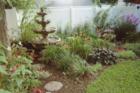 My Garden in St Louis - Tim Tanz, 2006