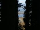 Looking from above Cape Meares through the trees down to Cape Meares
