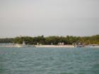 Dog Beach