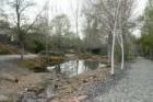 The duck ponds at California Park... a favorite place to walk the dogs and let the kids run off steam.  Lots of ducks to be seen, as well as fish and the occasional turtle!