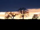 Sunset over Comanche Hills, Ione, CA.
      If you want views like this from your home just contact me.