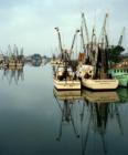 Beautiful Shem Creek