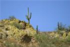 Picturesque Mountains/Hills surround many communities in northern Peoria making it a great place to live.