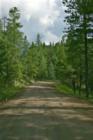 Drivng down a country Flagstaff Road