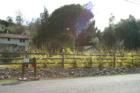 Ar117288867322683_l