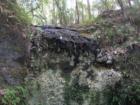 Falling Waters State Park/ Close by camping areas