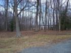 Turkey Point park wooded view
