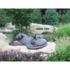 Akron Zoo Statue