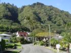 Lush Manoa Valley mountain