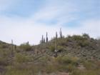 View of the mountains around Lake Pleasant