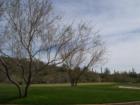 Inside the gated sanctuary of Quintero Golf and Country Club - view of custom lots and golf course