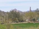 Inside the gated sanctuary of Quintero Golf and Country Club - view of golf course, custom lots and custom homes