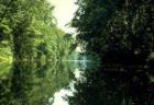 River Photo 1