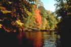 River Photo 2