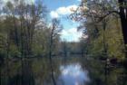 River Photo 3