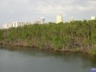 Nature and Development, side by side at the Oleta River Park.