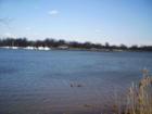 Lynch Cove-Dundalk