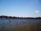 Lynch Cove-Dundalk
